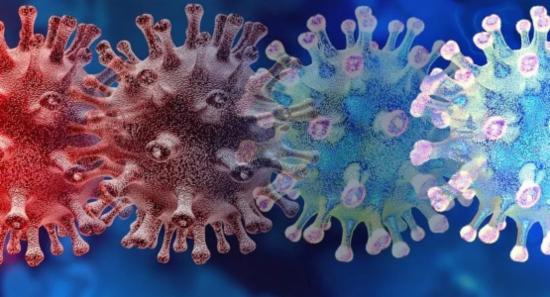Sri Lanka on African Swine Fever Alert